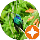 Jemile profile picture